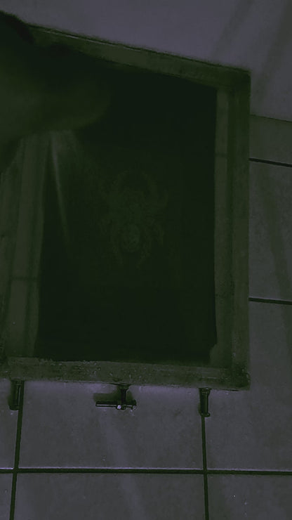 Tarantula Patch |  Handmade Screen Printed Patch | Sew On Patch